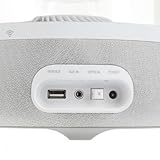 Harman Kardon Aura Wireless