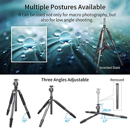 73" Carbon Fiber Ball Head Tripod Monopod with 44mm Low Profile Ballhead INNOREL RT-85C Professional DSLR Camera Tripod 32mm Leg Tube Ultra Stable Max Load 55lbs/25kg