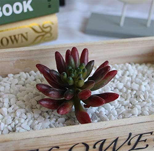 Amazon Co Jp 4種類の人工肉 エチェベリア 植物 草 砂漠 多肉植物 クリスマス 装飾フラワー 家庭用 家電 カメラ