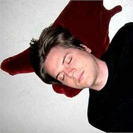 Flying Higher Novel Blood Puddle Pillow Perfect For Halloween