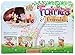 My Fairy Garden FG203 Fairies and Friends Figurines, Multicolor