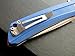 Eafegrow CH3002-G10 Folding Camping Knives 3.7 inch D2 Blade and G10 Handle Pocket Knives Outdoor Hunting Knife Tactical Folding Knives (blue)