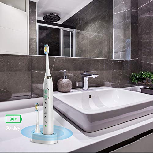Proalpha Sonic Electric Toothbrush for Adults, 5 Optional Brushing Modes Rechargeable