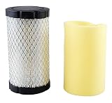 Raisman Air Filter Replaces Briggs & Stratton 793569/4241/5415 + Pre-Filter 793685/4260
