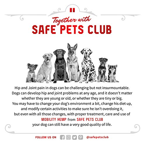 SAFE PETS CLUB Glucosamine Chondroitin for Dogs 120 Chews Made in