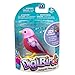 Digi Birds (Single Pack 1)