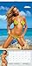 2017 Sports Illustrated Swimsuit Wall Calendar