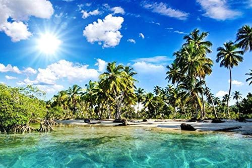 Amazon アート印刷 絵画風 壁紙ポスター はがせるシール式 美しい景色 熱帯 ビーチ ヤシの木 海 日光 写真 絵画 壁飾り キャンバス ステッカー 50cmx33cm ウォールステッカー オンライン通販