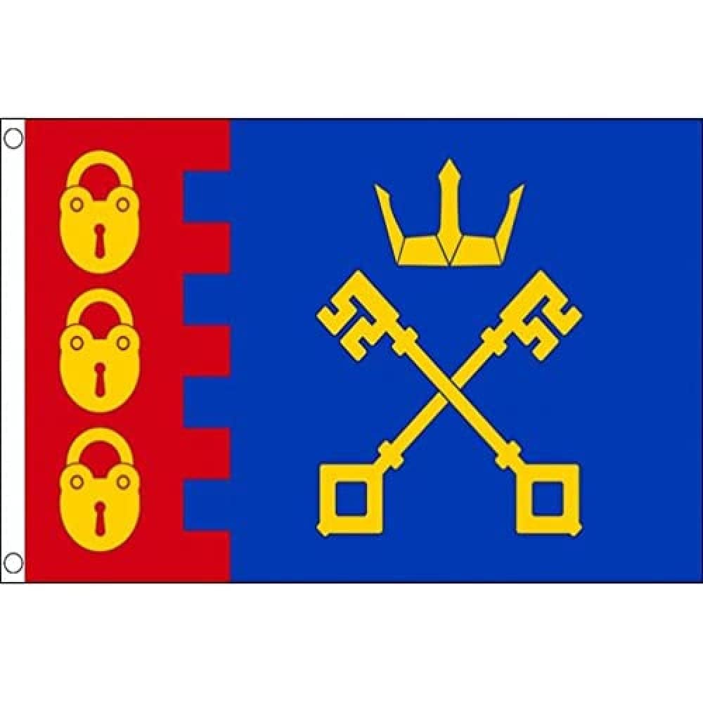 AZ FLAG - De La Flag - 3x5 Ft - 100D Polyester Willenhall City Banner with Two Metal Grommets - Fade Resistant - Vivid Colors - 3' x 5' Feet - 150x90 Cm