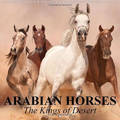 Arabian Horse Calendars Kritters in the Mailbox Animal Gifts