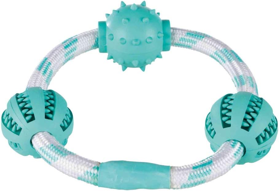 Trixie Denta Fun Rope Ring with Balls for Dog 20 cm, one piece, Multicolor