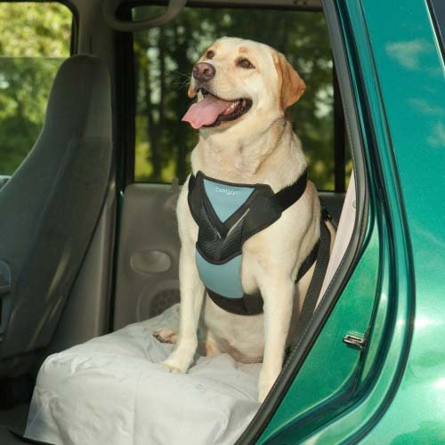 Bergan Auto Pet Safety Harness 50-80 Lbs., Large