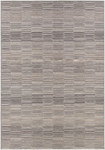 Couristan Cape Fayston/Silver-Charcoal, Indoor/Outdoor Area Rug (2' x), 2' x 3'7", Silver/Charcoal