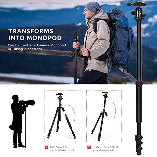 2 ESDDI+Aluminum+Monopod+Professional+Panasonic
