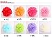 Saitec ® 12PCS Mixed Sizes White & Silver Tissue Paper Pom Poms Pompoms Wedding Birthday Party Decoration Holiday Supplies