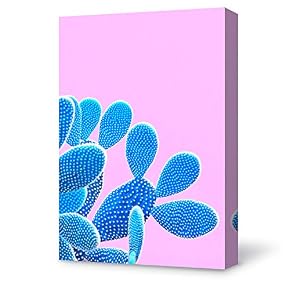 SIGNFORD Canvas Wall Art Plant Succulents Plant Office...