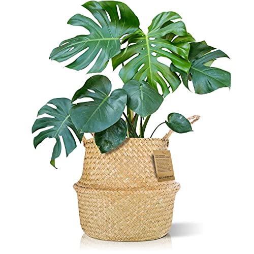 Plant Baskets - Extra Large Woven Basket Planter for Indoor Plants ...