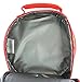 AI ACCESSORY INNOVATIONS DC Comics Flash Lunch Box Soft Kit Insulated Cooler Circle Bag