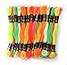 Darice HS1500 24 Piece Floss Embroidery, Neon
