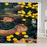 Animal Shower Curtain Cute Puffer Fish Shower