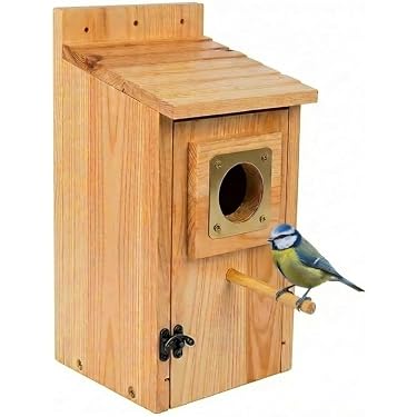 SCATOLA PER UCCELLINI in legno per uccellini per esterni case per