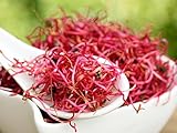 Organic Beet Seeds for Sprouter - Sprouting Seeds (4 oz (8000+seeds))