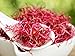 Organic Beet Seeds for Sprouter - Sprouting Seeds (4 oz (8000+seeds))