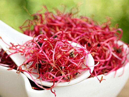 Organic Beet Seeds for Sprouter - Sprouting Seeds (4 oz (8000+seeds))