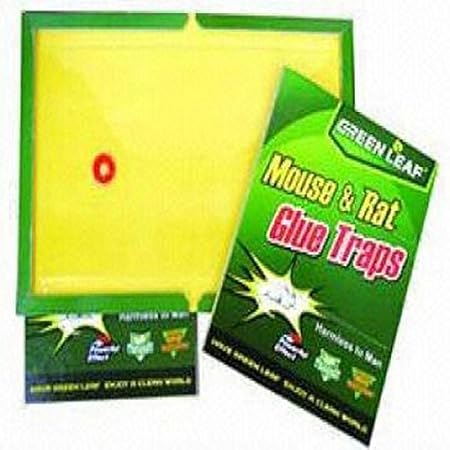 V D Sales 5 Pieces Mouse and Rat Glue Trap (Green, Large)