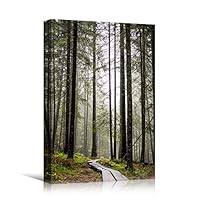 Canvas Wall Art Green Forest Dramatic Forest Landscape Living Room Multicolor Photography Rustic - 12x18 inches