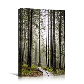 signwin Canvas Wall Art Green Forest Dramatic Forest...