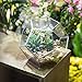 NCYP Small Silver Glass Geometric Terrarium for Succulents Air Plants, 6.89 x 6.89 x 5.9 Inches, Indoor Home Garden Planter Pot, Tabletop Decor Centerpiece, Handmade (Only Terrarium)