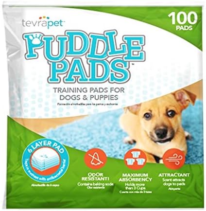 jack russell terrier gifts