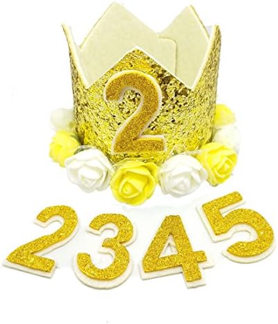 BIPY Gold Crown Dog Birthday Hat for Girls Boys Unisex Small Medium Large Dogs Cats Pigs Sheeps Rabbits With 0-9 Charms Reusable Costumes