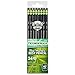 Ticonderoga Pencils, Wood-Cased, Graphite #2 HB Soft, Black, 24-Pack (13926)