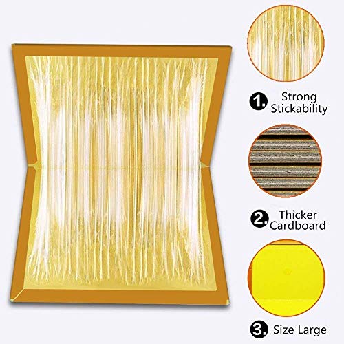 JCHOPE Mouse Trap, Mouse Glue Trap, Mouse Glue Traps, Mouse Glue Boards, Mouse Size Glue Traps Sticky Boards, Peanut Smell (5Pack)