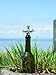 Twine Octopus Wine Bottle Stopper, Keep Wine Fresh, Fits Standard Bottles, Metal, Rubber Seal, Silver, Set of 1