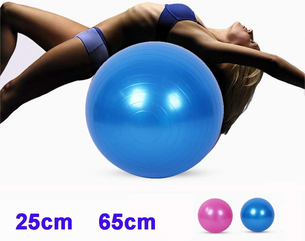 PVC Fitness Yoga Ball,Exercise Ball for Fitness,Heavy Duty Stability Ball,Exercise Ball for Yoga,Stability Fitness Ball for Birthin With Gas Pump,L and Pink