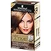 Schwarzkopf Color Ultime Iconic Blondes Hair Coloring Kit, 7.0 Dark Blonde (Pack of 2)