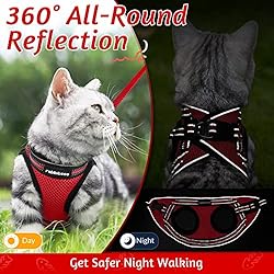 rabbitgoo Cat Harness and Leash Set for Walking