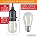 Vysta 52 Feet LED Outdoor Patio String Lights – Industrial Grade Wire Strand, 17 Clear Bulbs and Sockets, Daisy Chain Outlet - Soft White Glow