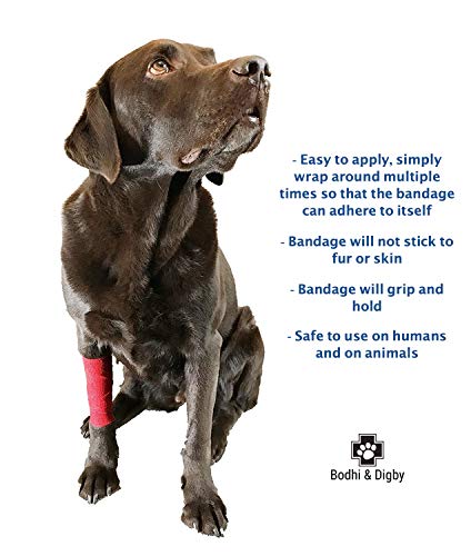 5 Bodhi+Digby+Cohesive+Bandage+Adherent
