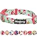 Blueberry Pet Dog Collar - Turquoise Floral Rose Print, Adjustable Small Dog Collar for Neck 12-16