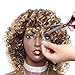 N&T Nicole and Tulip N&T Ombre Afro Kinky Curly Wigs for Black Women Ombre Blonde Synthetic Curly Hair Daily for Women