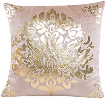 TwoYears Fashion Indoor Gold velvet Throw Pillow Square Pillow Cover Soft Cushion Case Toss Pillowcase Hidden Zipper Closure Home Decor (Beige)
