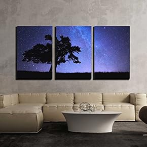 3 Piece Canvas Wall Art - Alone Tree and Milky Way - Modern Home Art Stretched and Framed Ready to Hang - 16"x24"x3 Panels