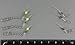 Trolling Bumper for Trolling Flashers & Dodgers 3 Pack (36 Inch)