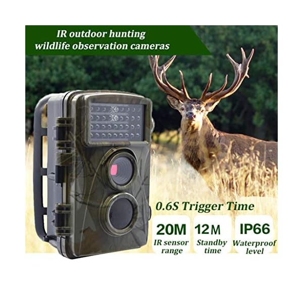 Wildkamera für den Außenbereich, Waldüberwachung, Jagd, Sicherheit, Wildkamera, 12 MP, 1080P, HD, Wildtierkamera… – Bild 3