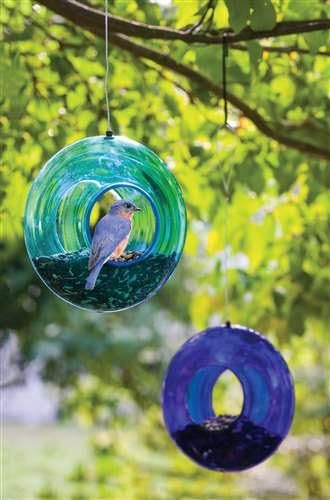 Blue Glass Circular Bird Feeders Amazon Ca Home Kitchen