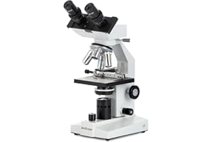 AmScope B100B-MS Compound Binocular Microscope, 40X-2000X Magnification, Brightfield, Tungsten Illumination, Abbe Condenser, 